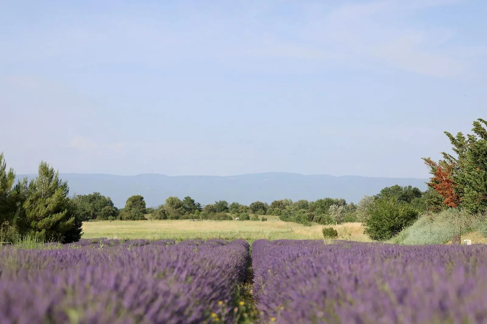Le Mas Les Eydins Bonnieux