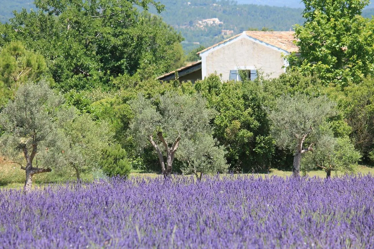 Bed & Breakfast Le Mas Les Eydins Bonnieux Frankrijk